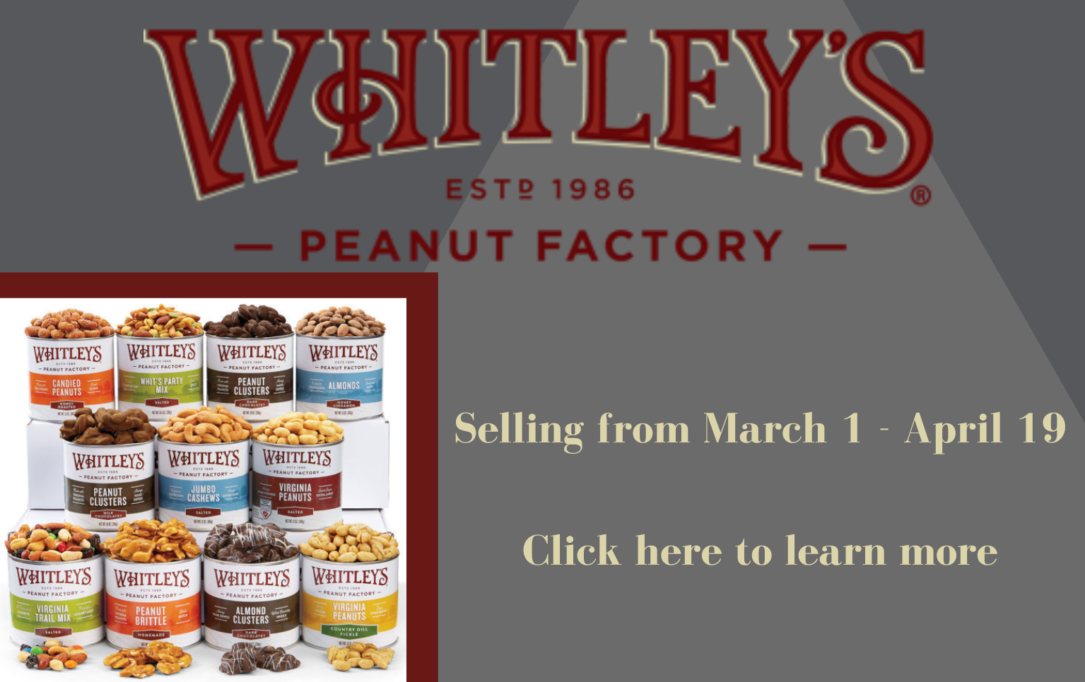 Whitley's Sale Front Page Panel